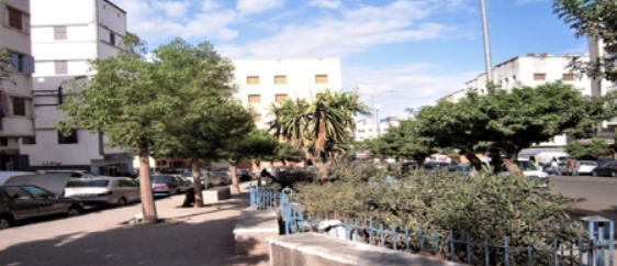 Jardin Jamila 5
